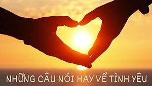 Tuyển chọn những câu nói về tình yêu hay và ý nghĩa nhất